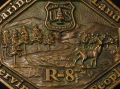 Ultra-Rare 1987 USFS Region 8 Belt Buckle – Serial #79 – Former Reg. Director