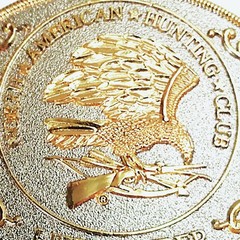 NORTH AMERICAN HUNTING CLUB Belt Buckle Gold & Silver Tone Eagle Bow Arrow Rifle