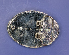 Real Eastern Rattlesnakes Insert with Bezel & Silver Scroll Belt Buckle #2626