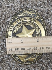 The State of Texas Star Belt Buckle Logo Flag Gold-Tone Metal Western 3.5&Prime;x2.5&Prime;
