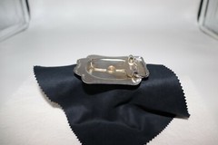 Horse in a Horseshoe Belt Buckle