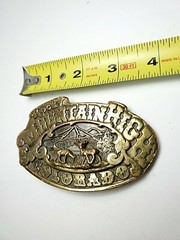 1975 Dezy Denver Rocky MountainHigh Colorado Belt Buckle