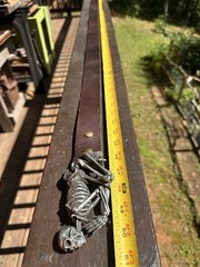 Belt With Skeleton Buckle By Alchemy Gothic