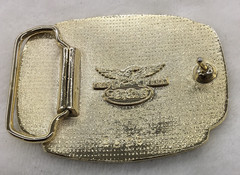 Vietnam Veteran Belt Buckle Airborne Divisions, Made in USA, 3.25&Prime; x 2.5&Prime;