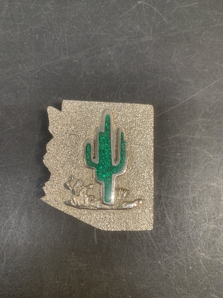 Arizona LAND OF ENCHANTMENT BELT BUCKLE Cactus – Green and Silver