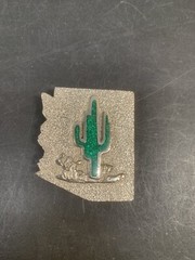 Arizona LAND OF ENCHANTMENT BELT BUCKLE Cactus – Green and Silver