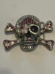 Skull Crossbones Blinged Iced Belt Buckle Gothic Tattoo Halloween Costume Silver
