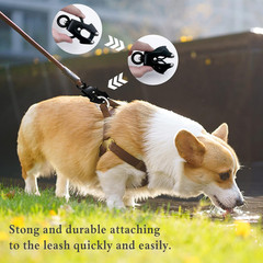 2 Pcs Dog Leash Buckle Aluminum Alloy Heavy Duty Quick Release Locking Frog Clip
