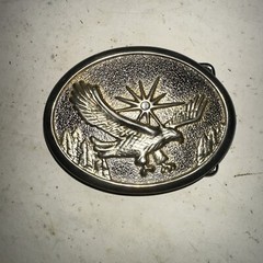 VINTAGE BELT BUCKLE Majestic Eagle Sun Trees Star Jewel Flying Oval Metal USA