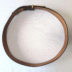 Louis Vuitton Pre-Owned Damier Sainteur Belt Gold 95Cm 5
