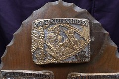 AWARD DESIGN MEDALS PRESENT 12 GREAT INDIAN CHIEFS GOLD SILVER PLATED ON STAND