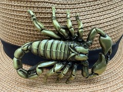 Retro Scorpion Belt Buckle, Pewter Finish Alloy Metal (3 1/2 » x 3 »)