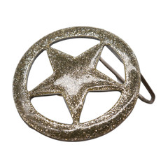 Men Women Belt Buckle Silver Metal Texas Lone Star Glitter Sparkling TX Cowboys