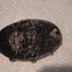 Belt Buckle