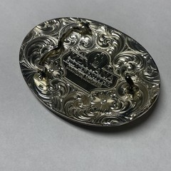 Montana Silversmiths Two-Tone Buffalo Nickel Belt Buckle with Longhorn Skull