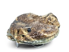 Real Rattlesnake Belt Buckle: Full Head (598-BB415-AS)