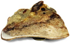 Belt Buckle Large Brown Natural Stone Polished Marble One of a Kind Handmade