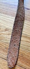 Horse Head Belt Buckle and Black Leather Belt 47 in Made in Mexico