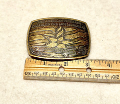 2007 SPONSER THE AMERICAN VETERANS DISABLED FOR LIFE MEMORIAL BELT BUCKLE