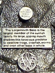 Vintage 1980 Big Mouth Bass Largemouth Fish Belt Buckle Bergamont Fisherman USA