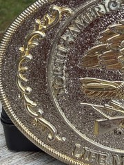 Vtg North American Hunting Club Wings of Gold Brass Belt Buckle Life Member READ