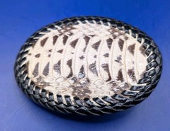 Water Snake Back Cut Snakeskin Hand laced Belt Buckle made in USA