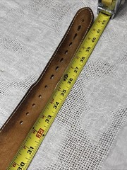 Tiger Eye Brass Tone Brown Belt Men Ladies Leather Embossing Western Cowboy