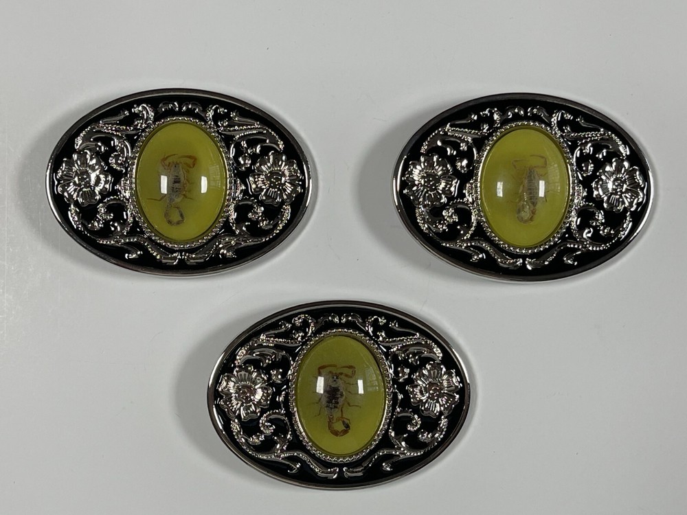 Real Scorpion Belt Buckle Insects in Resin Taxidermy – Minor Defects – 3 Pack