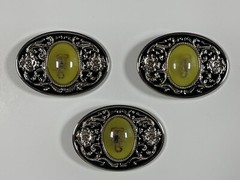 Real Scorpion Belt Buckle Insects in Resin Taxidermy – Minor Defects – 3 Pack