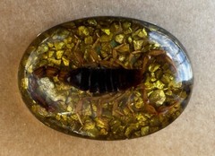 Scorpion Real Insect Belt Buckle Men Westen Cowboy Hecho Made en Mexico Vintage