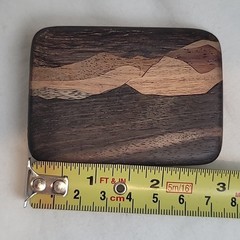 Terry L Evans Signed Inlaid Wood & Brass Belt Buckle Mountain Lanscape Scene VTG