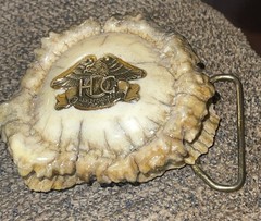 Vintage Elk Antler Belt Buckle With Eagle Harley Owners Group Motorcycle