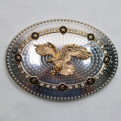 EAGLE Belt Buckle OVAL SHAPE Rodeo Western LARGE