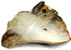 Belt Buckle Large Brown Natural Stone Polished Marble One of a Kind Handmade