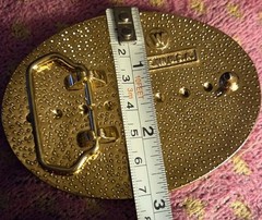 VTG Bald Eagle Mountain Scene Belt Buckle USA Western Gold Trim Wesco/Walsco