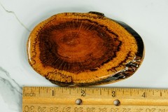 Cross-Cut burl wood mens belt buckle western
