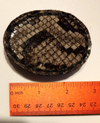 Rattlesnake Skin Belt Buckle Leather Back Vintage Western Cowboy