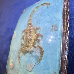 Men&rsquo;s Silver Tone Metal Belt Buckle Blue Scorpion Inlay Fits 1.5 in Belt
