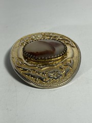 Gold Tone Western Belt Buckle w/Genuine Brazilian Agate Gemstone Stone (D)
