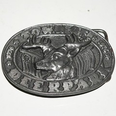 BELT BUCKLE – TOWN OF DEERPARK NY- VGC Textured relief finish. Limited Edition