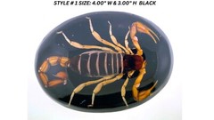 Vintage Real Scorpion Belt Buckle Preserved Inlay Zodiac Sign Men Women Lucky