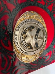 Texas Water Utilities Assc Vintage Brass Belt Buckle Creative Casting Denison