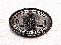CLASSIC BELT BUCKLE COUNTY WEED DIRECTORS ASSOC OF KANSAS 1985 MUSK THISTLE BB18
