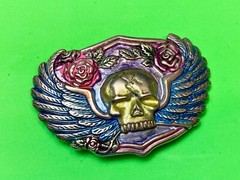 Skull With Wings – Colorful Cutout Belt Buckle – Fast Usa Shipping