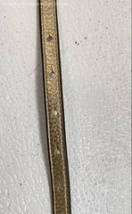 Tory Burch Reversible Logo Skinny Belt In Gold And Silver