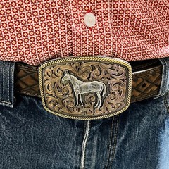 Montana Silversmiths Attitude Tri-Color Horse Rope Edge Western Belt Buckle