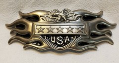 Stainless Steel Oblong Belt Buckle Flamed Eagle USA Stars Removeable