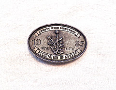 CLASSIC BELT BUCKLE COUNTY WEED DIRECTORS ASSOC OF KANSAS 1985 MUSK THISTLE BB18