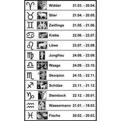 Gemini Zodiac Belt Buckle Antique Silver Rectangle Astrology Style