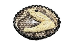 Rattlesnake cowboy cowgirl western style belt buckle